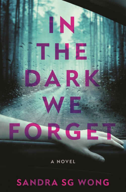 In the Dark We Forget by Sandra SG Wong