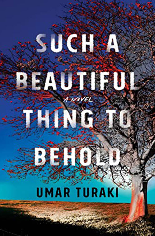 Such a Beautiful Thing to Behold by Umar Turaki