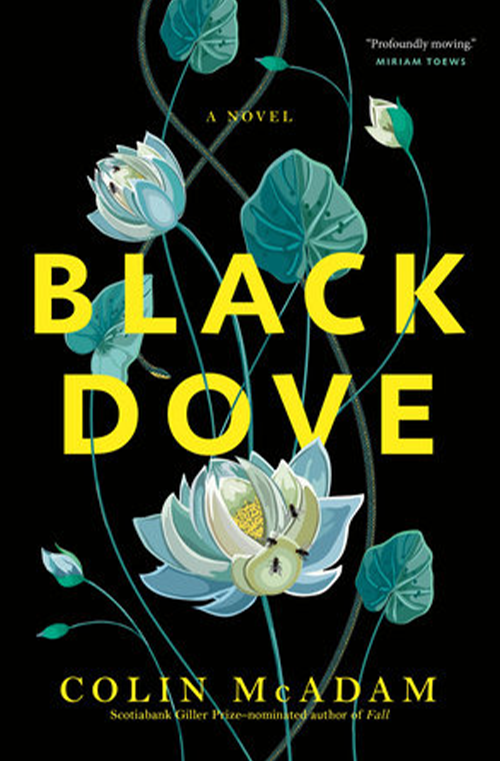 Black Dove by Colin McAdam