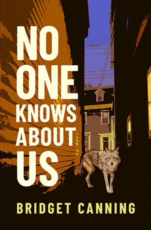 No One Knows About Us by Bridget Canning