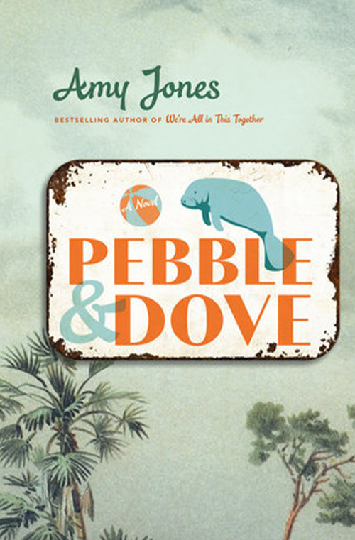 Pebble & Dove by Amy Jones