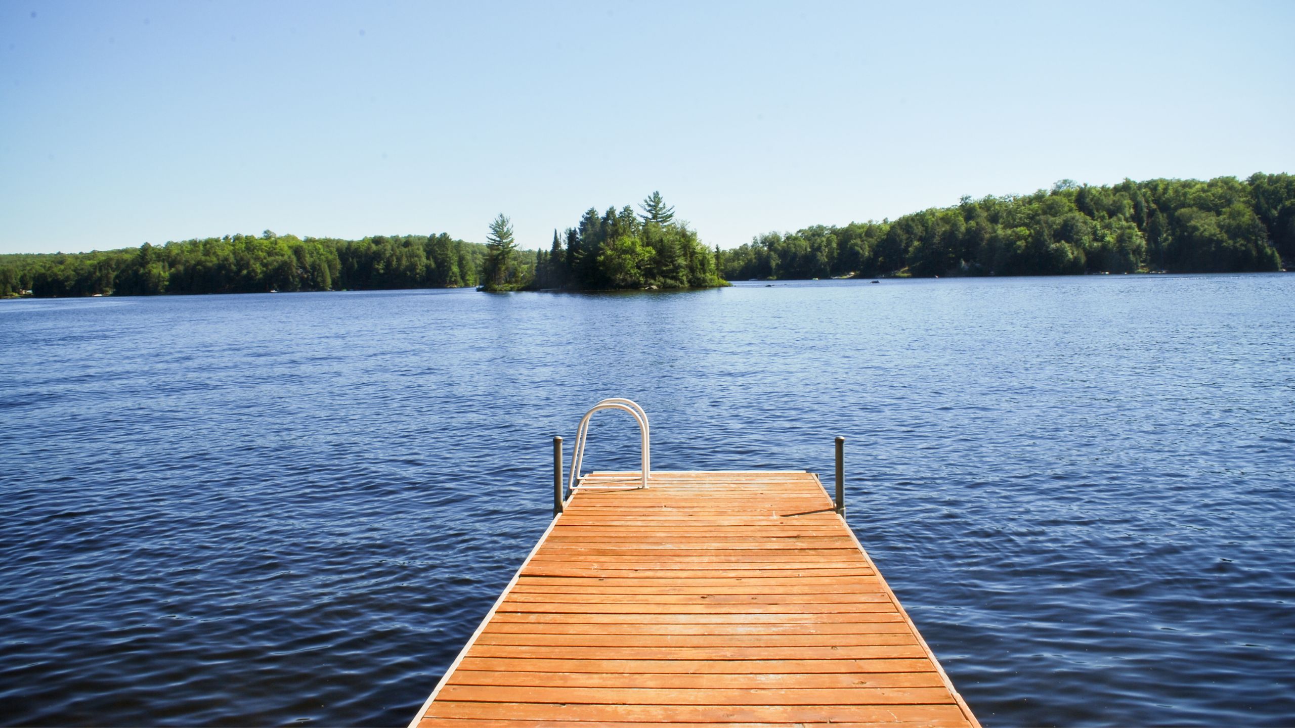 A dock is leading into a lake. The horizon is lined with trees.