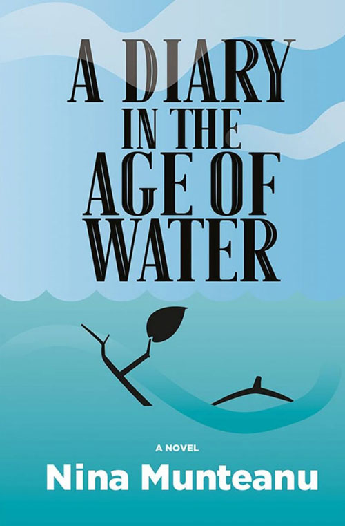 A Diary in the Age of Water book cover