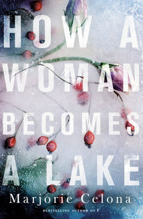 How a Woman Becomes a Lake book cover