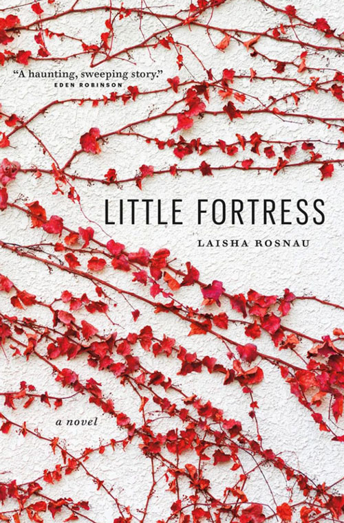 Little Fortress book cover