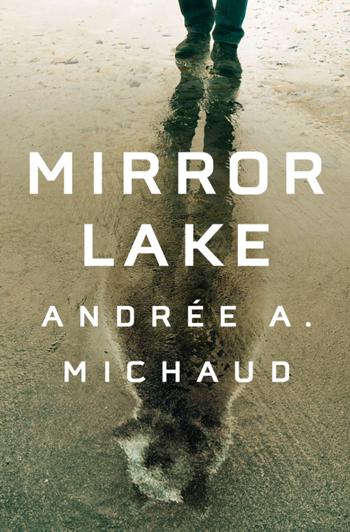Mirror Lake book cover