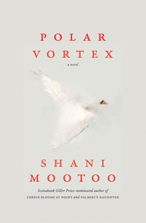 Polar Vortex book cover