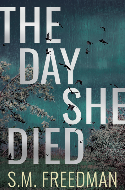 The Day She Died book cover