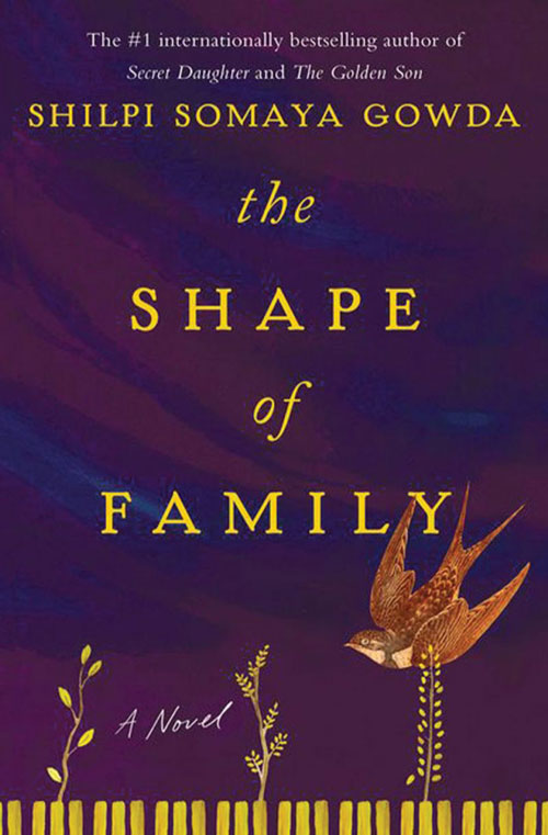The Shape of Family book cover