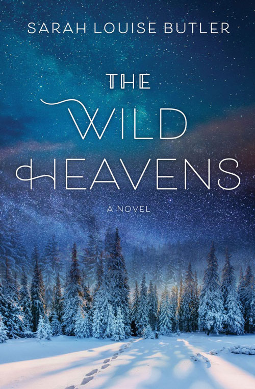 The Wild Heavens book cover