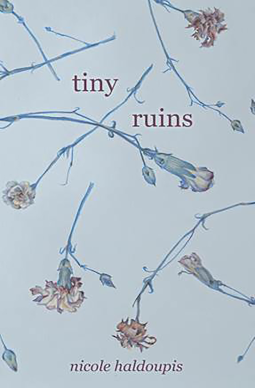 Tiny Ruins book cover