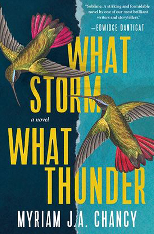 What Storm What Thunder book cover