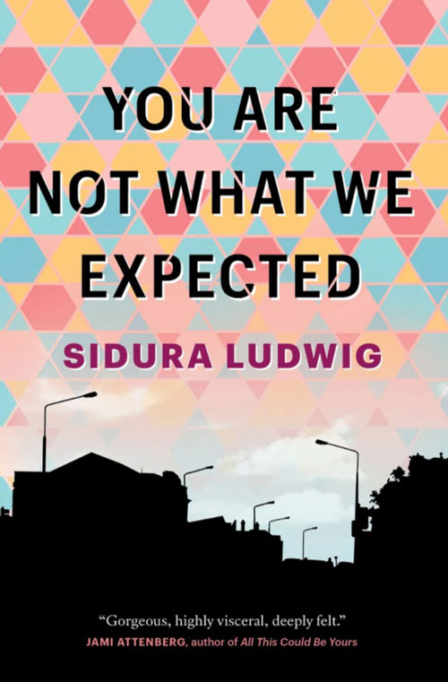 You Are Not What We Expected book cover