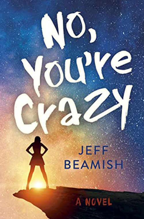 No, You're Crazy book cover