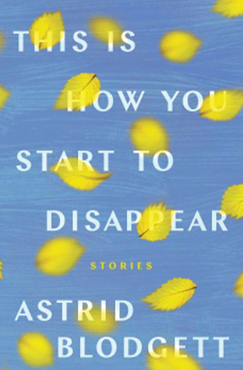This is How You Start to Disappear book cover