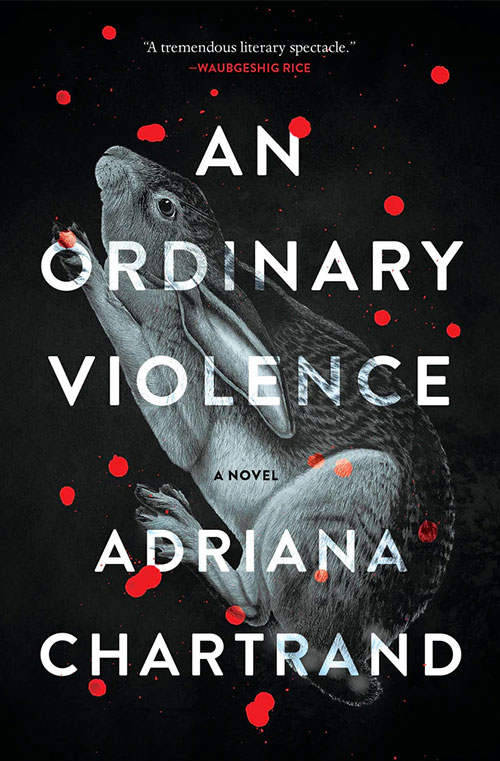 An Ordinary Violence book cover
