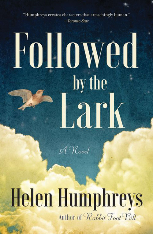 Followed by the Lark book cover