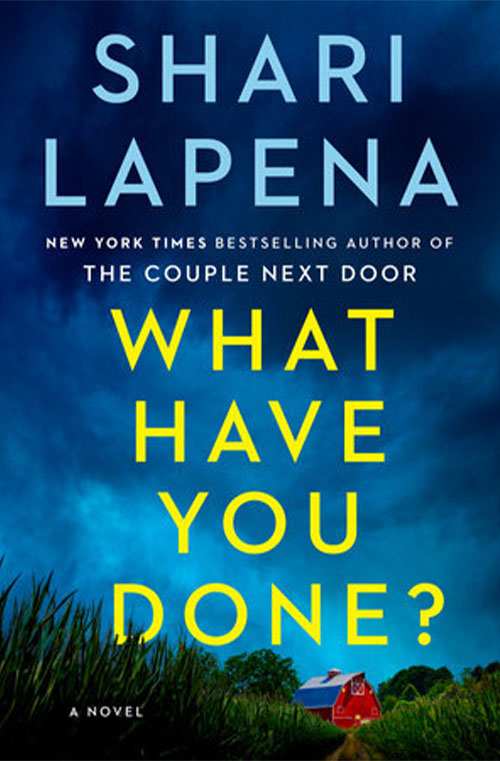 What Have You Done? book cover