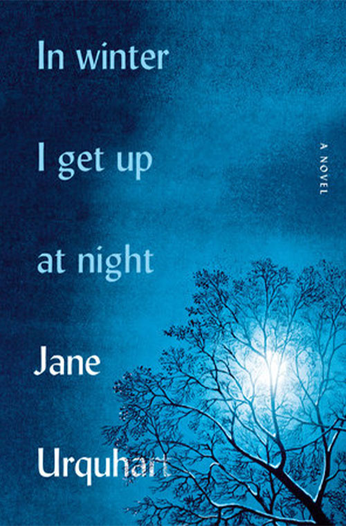 In Winter I Get Up At Night book cover