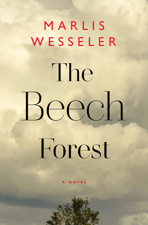 The Beech Forest book cover