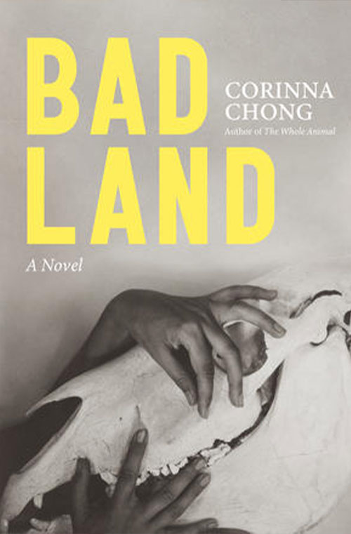 Bad Lands book cover