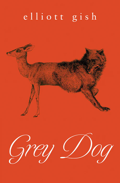 Grey Dog book cover
