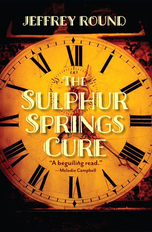The Sulphur Springs Cure book cover